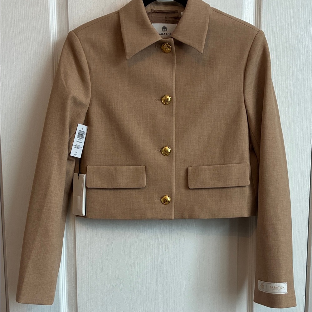 Aritzia Babaton Frances Jacket